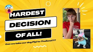 Hardest decision of all - can our dog Pipi come with us? Ep 3