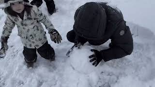 Playing with Snow