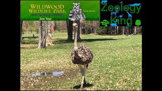 Wildwood Wildlife Park Zoo Tour