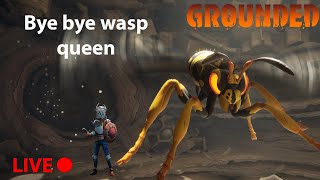 🔴LIVE Bye Bye wasp queen