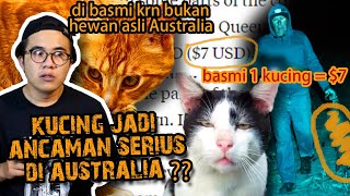 KUCING JADI ANCAMAN SERIUS DI AUSTRALIA SAMPE DI BASMI