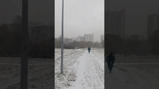 Такая погода сегодня в Петербурге