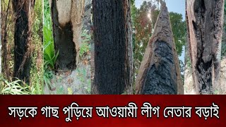 পচ্চিম"মাঠ আঞ্চলিক, সরকারি সড়কের পাশে বেশ কয়েকটি গাছ পুড়িয়ে ক্ষতিগ্রস্তের মুখে, সাধারণ মানুষ |