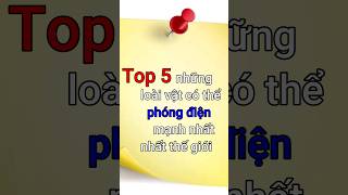 Top 5 những loài vật có khả năng phóng điện mạnh nhất thế giới.