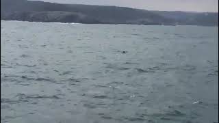 Дрейфующая украинская мина у берегов Турции.Drifting Ukrainian mine off the coast of Turkey