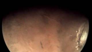 Astronaut's eye view: Mars Express orbiting the Red Planet II