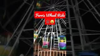 #shorts #ferriswheel #carnival #flyer