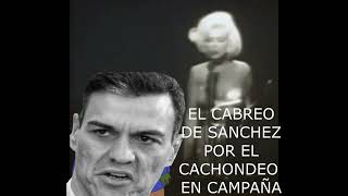 FELIZ CAMPAÑA ELECTORAL