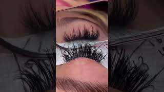 Lash Extension Process