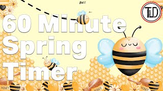 60 Minute Spring Timer (2023)