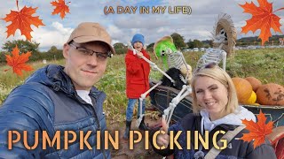 VLOG:🇬🇧FORDINGBRIDGE PYO Pumpkins picking🎃/Haloween Maze/ The RENGE шопинг/насыщенный день/12 10 24