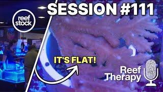 A Flat Acropora and All The Reefing Things We're Excited About | #111