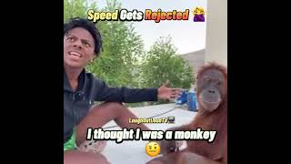 Speed Meets A Monkey🙉📺