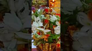 Swamiyea Ayyappa song |swami saranam Ayyappa 🌹🙏#viralvideo #darshith vlogs...