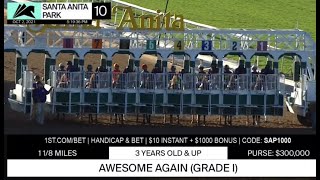 Awesome Again Stakes 2021 | Medina Spirit