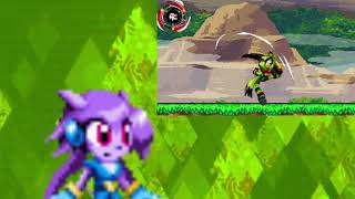 Reaction Sash Lilac on Sochin Sonic’s friends | Freedom planet animation