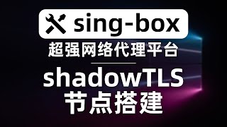 一款比肩v2ray、clash，甚至将超过二者的新兴网络代理工具，sing-box，网络代理平台的“瑞士军刀”，演示使用singbox搭建shadowtls节点，突破sni白名单地区限制