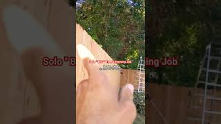 Solo " BIG " Tree Trimming Job | Houston , Texas @mr.momhoustontexas #shortvideo #gardening #trees