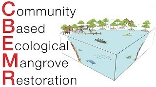 Community Based Ecological Mangrove Restoration FUNDRAISER VIDEO