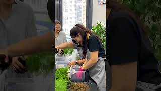 Ботанический мастер-класс по созданию кокедам #plants #растения #кокедама