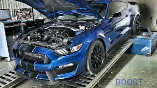 BOOSTED SHELBY GT350 MAKING GOOD POWER ON MUSTANG DYNO