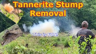 Stump Removal with Tannerite | Duck Hunting