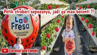 WISATA PETIK STRAWBERRY 🍓 LA FRESA LEMBANG BANDUNG