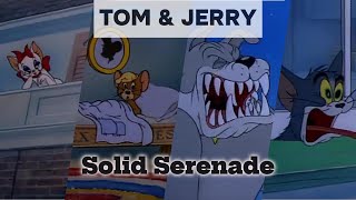 Tom and jerry, Solid Serenade | last part | tom and jerry cartoon | cartoon tom and jerry