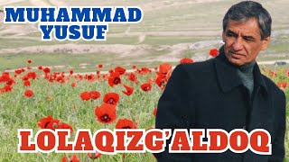 Muhammad Yusuf | Lolaqizg'aldoq