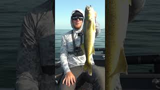 Cody Solberg and Kalins Search Bait