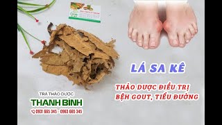 Lá Sa Kê - Địa chỉ bán lá sa kê tại TPHCM chất lượng và giá tốt nhất