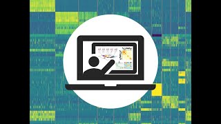 Managing Multiple Datasets: Downstream Analysis for scRNA Sequencing