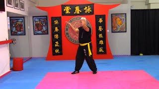 Wing Chun Footwork, Lesson 4 With Tan Sao