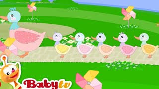 g five little ducks babytv english sing a song