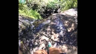 Girl falls 50 ft down waterfall 😱