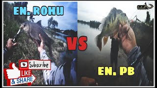 Peacock Bass VS Rohu #26