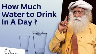 How Much Water Should I Drink In A Day