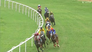 #BANGALORE | 3 Nov 23 | The D M Shivaswamy Memorial Cup | Race No. 6 | STELLAR GOLD with R N Darshan