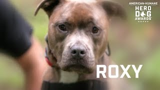 2018 Hero Dog Awards | Service Dog Category Winner – Roxy