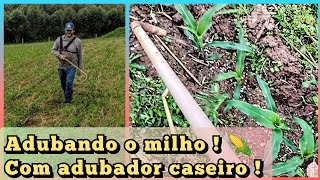 Aplicando a primeira cobertura do milho 🌽 🌽