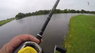 Fishing in Riverview, Fl