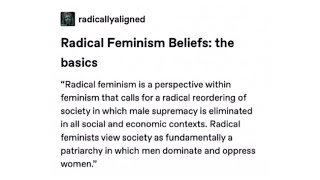 Radfem Basics