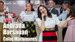 Andrada Barsauan - Colaj Maramures | NOU 2024 || LIVE || Muzica de petrecere