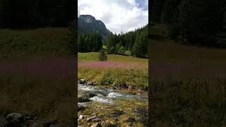 Dolina Kościeliska. Zakopane. Widok z polany.