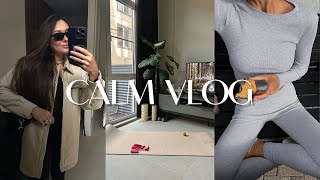 6. CALM VLOG: живу одна | мой распорядок дня | рецепты | покупки к Новому году