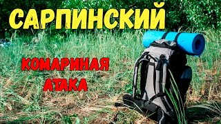 Сарпинский - комариная атака