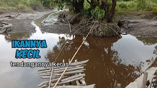 Ikannya kecil tendangannya keras