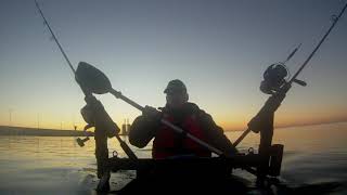 Pescando cebo para vivo ( kayak 1/2 )