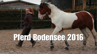 Die Pferd Bodensee 2016