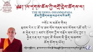 Day-43 The Buddha-Dhammapada  ཆོས་ཀྱི་ཚིགས་སུ་བཅད་པའི་མདོ། དཀའ་ཆེན་ཚུལ་ཁྲིམས། ལ་དྭགས་ཀྱི་སྐད།